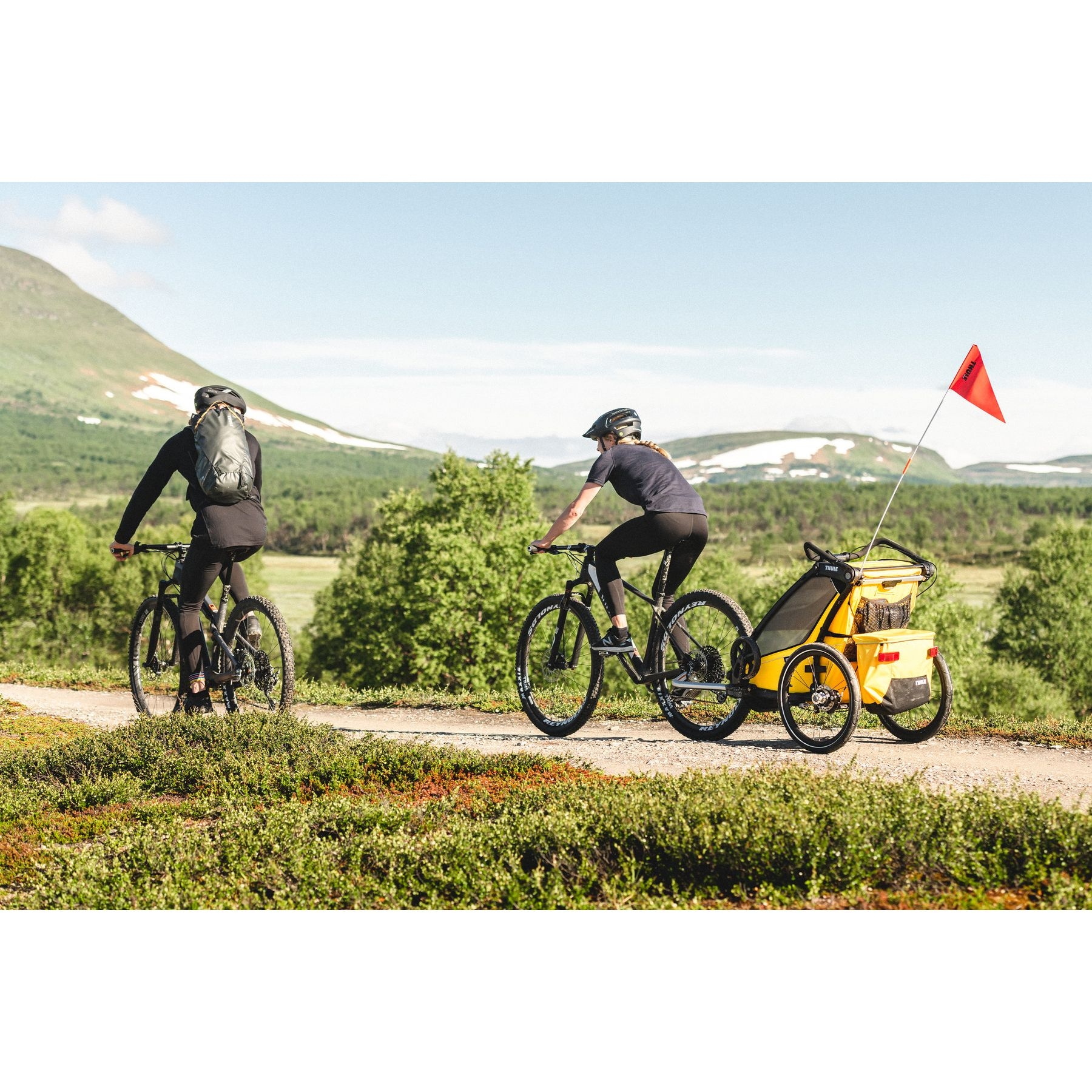Thule Chariot Sport 2 Single jalgrattahaagis, Natural Gold — изображение 7
