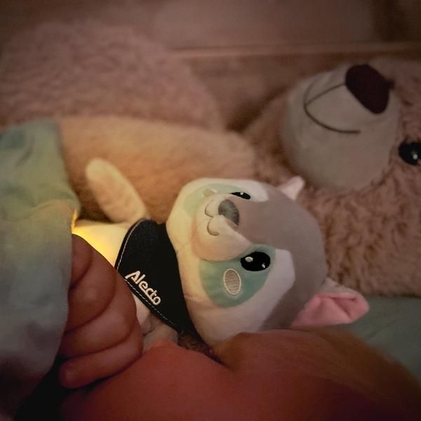 Alecto kaisuloom öövalguse ja muusikaga, Racoon - Image 4