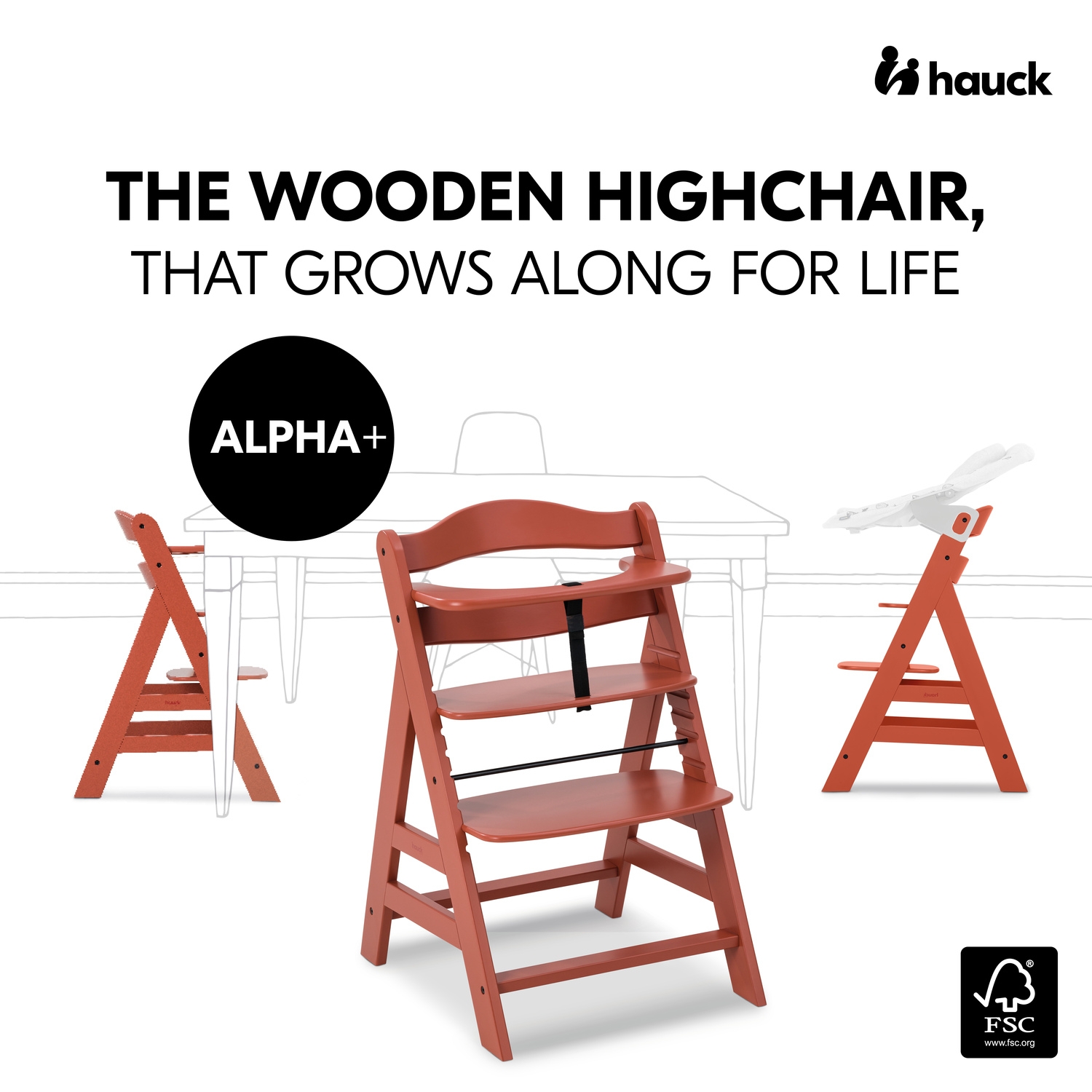Hauck Alpha+ puidust söögitool, Cork — изображение 10