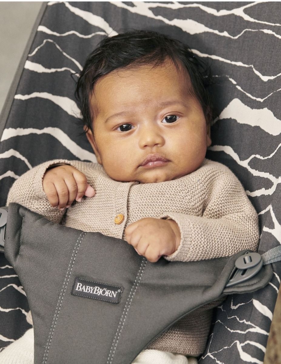 Babybjörn Bouncer Bliss lamamistool, Landscape Anthracite — изображение 3