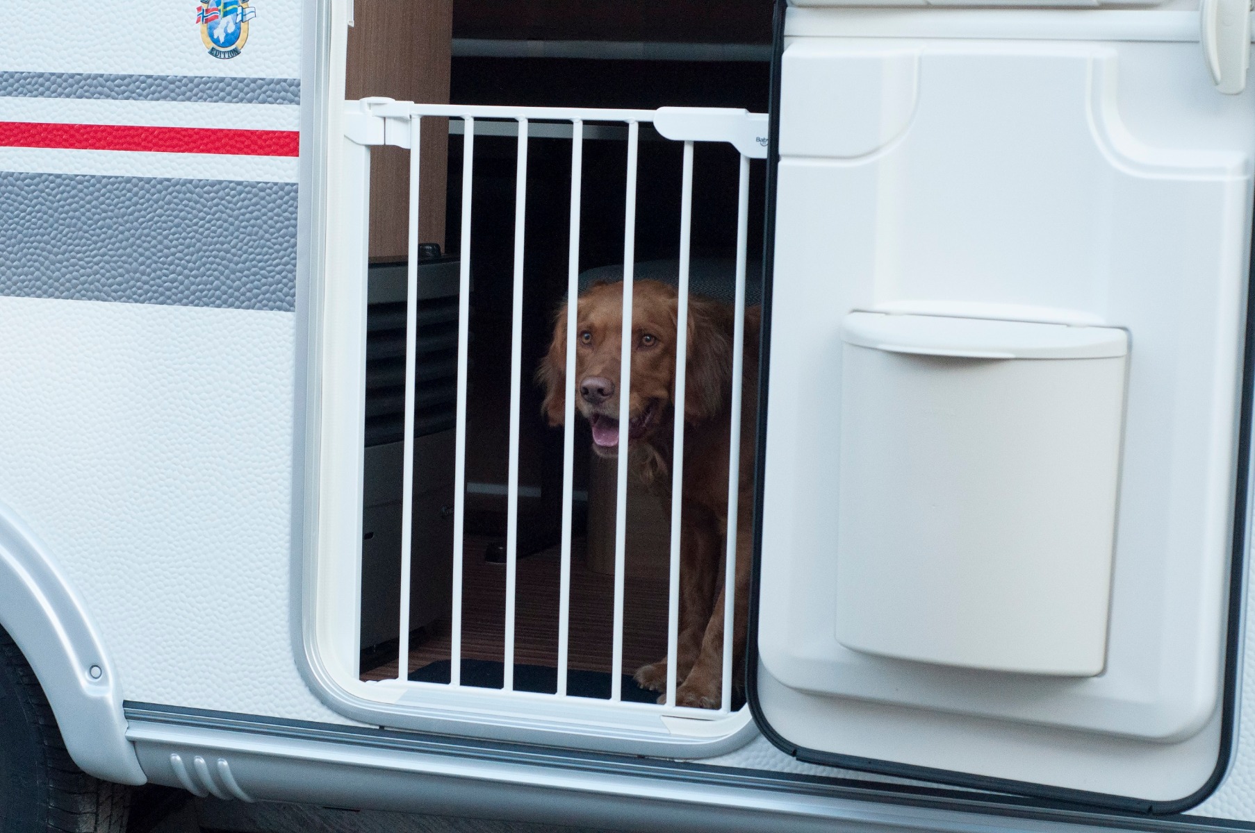 BabyDan Asta/Premier turvavärav, Black (kopeeri) — изображение 6