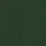 roheline Dpcv-11