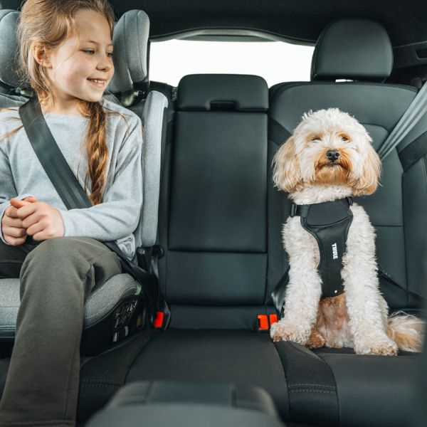 Thule Palm turvatool 100-150cm + Thule Palm jalatugi, Mid Gray - Image 18